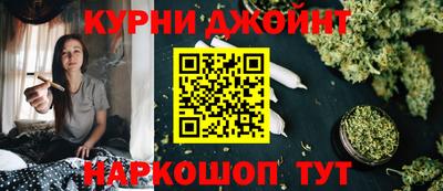 сатива Гай