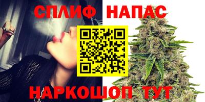 ГАЛЛЮЦИНОГЕННЫЕ ГРИБЫ Гагарин