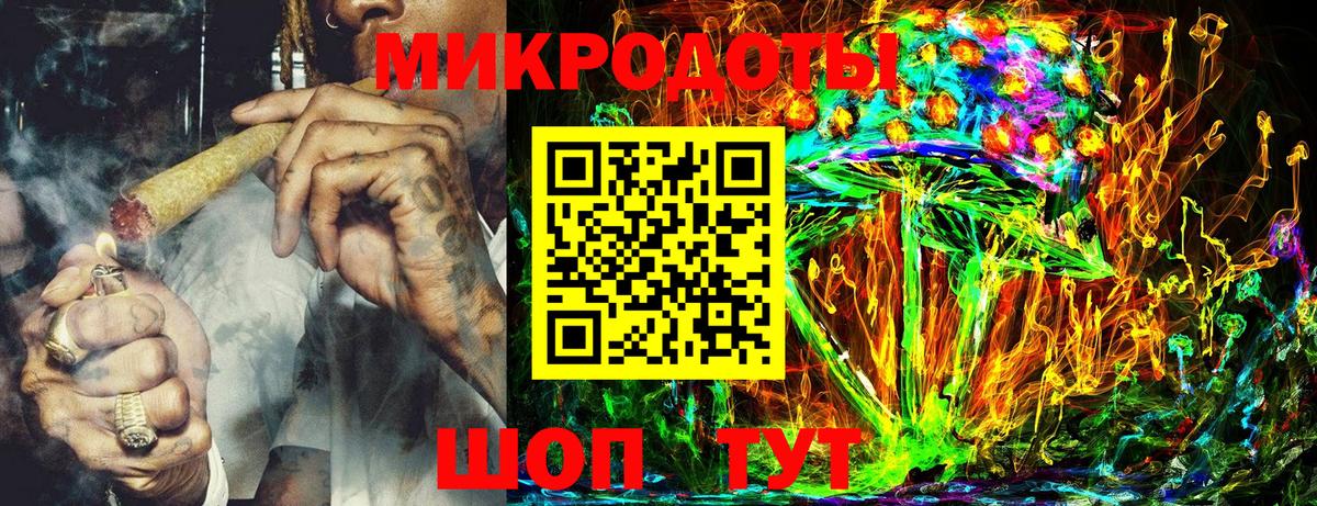 Псилоцибиновые грибы мицелий Россия