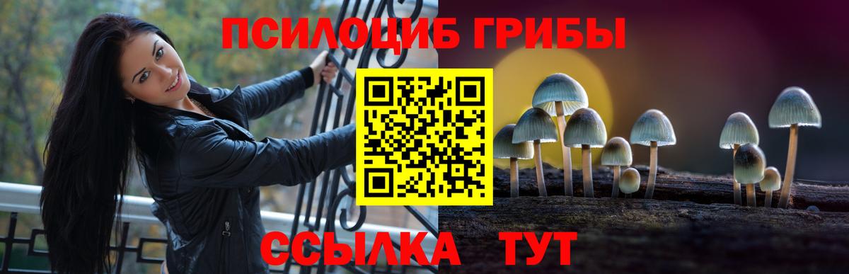 закладки  Псилоцибиновые грибы ЛСД  Вход с VPN  Псилоцибиновые грибы Magic Shrooms  Россия 