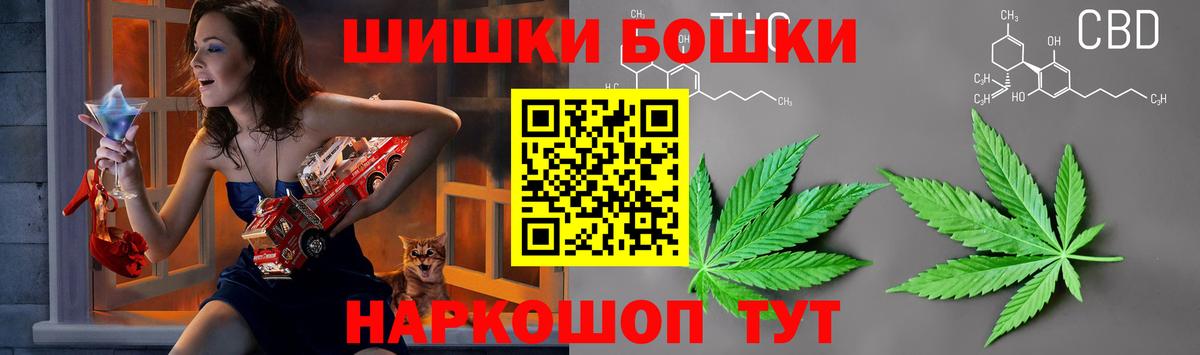 Каннабис сатива Россия